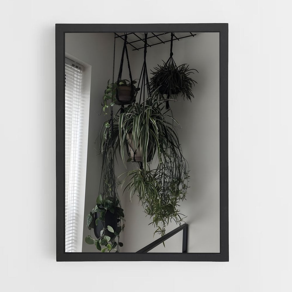 ap-plant-8 cadre Noir