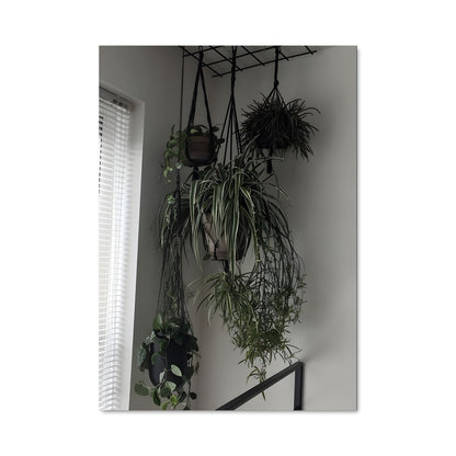Poster Verdure Suspendue