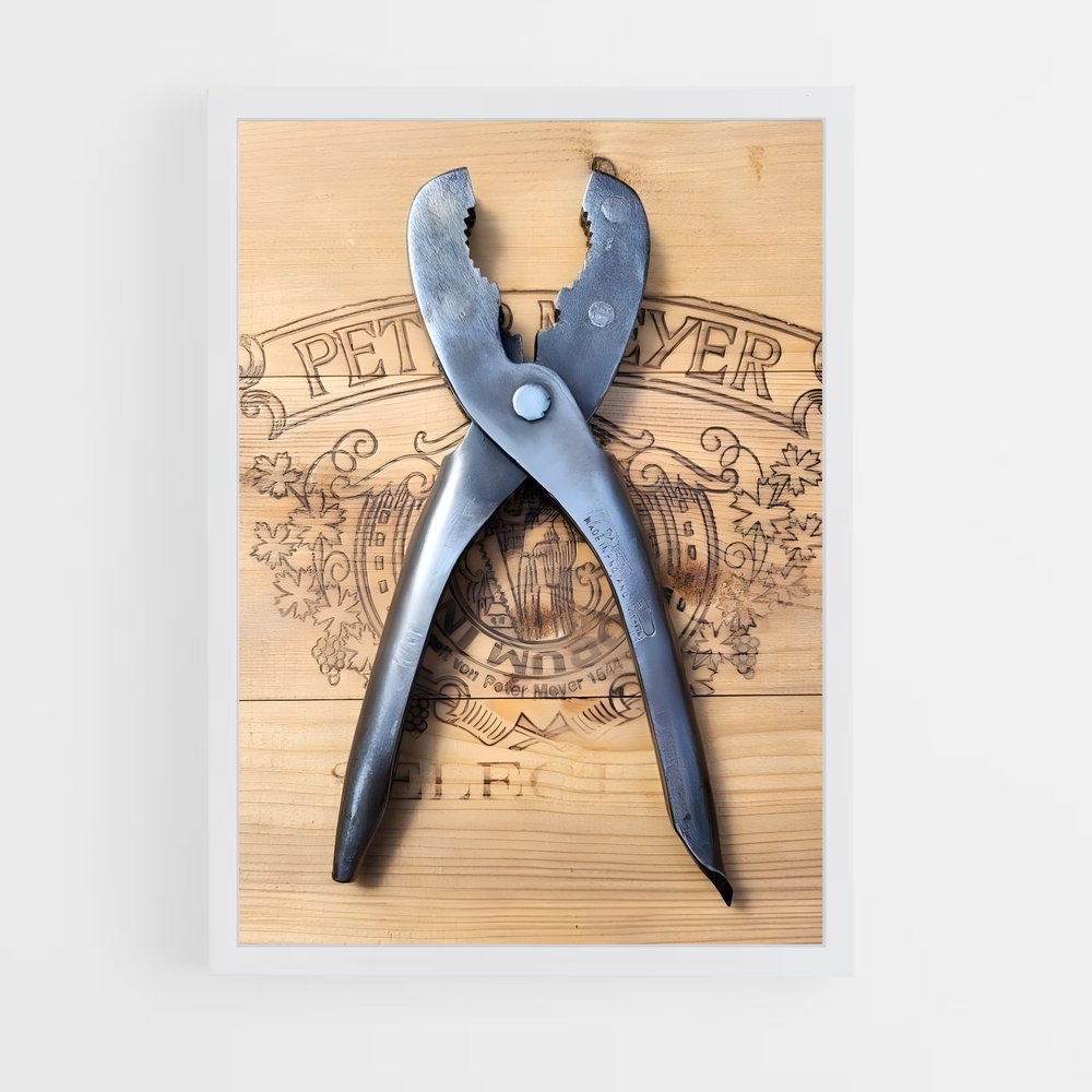 ap-pliers-1 cadre Blanc