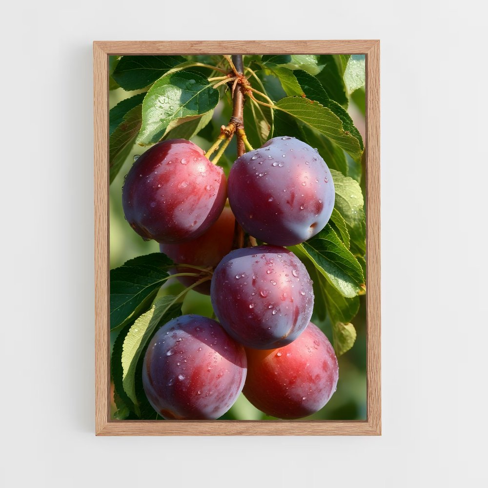 ap-plum-3 cadre Bois clair