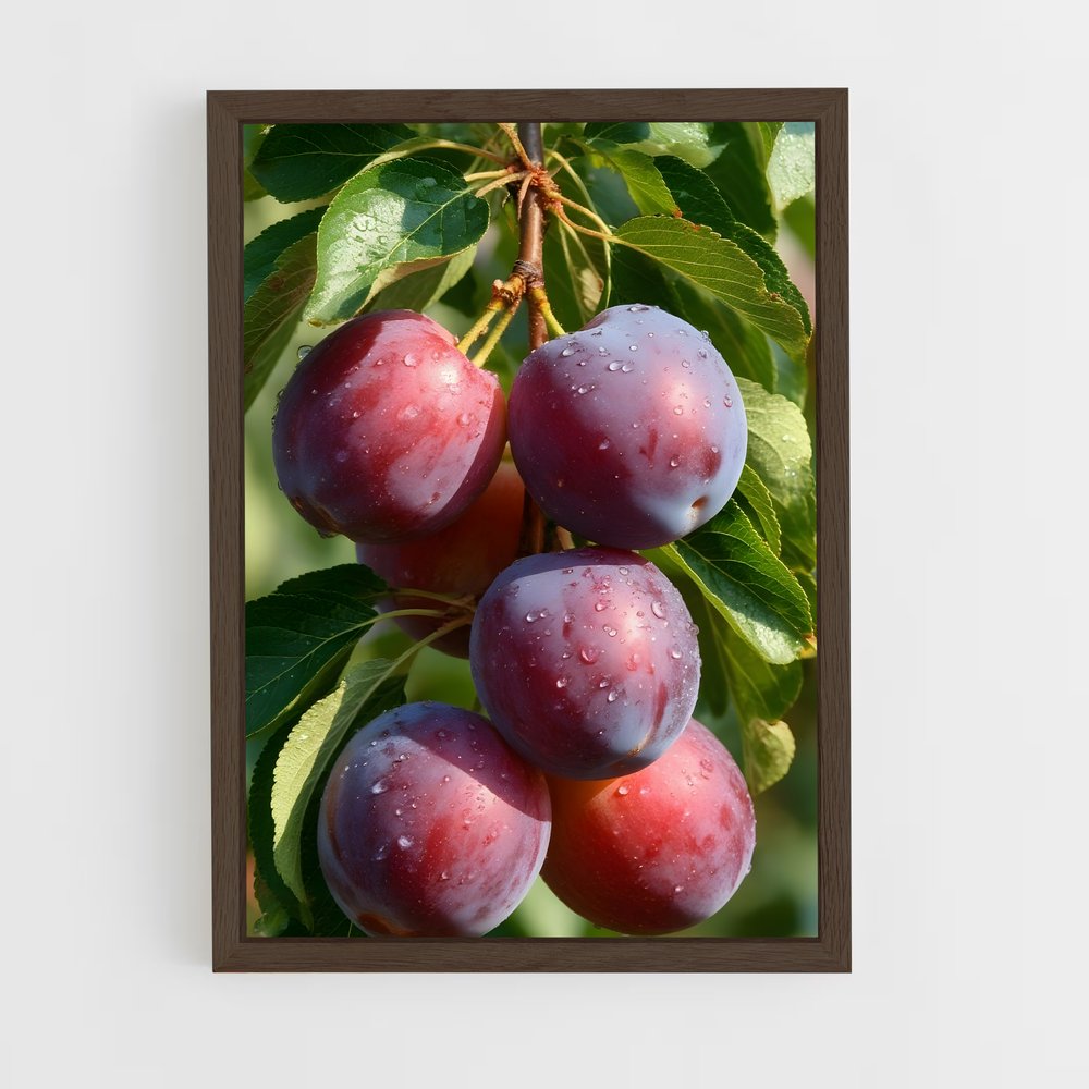 ap-plum-3 cadre Bois foncé