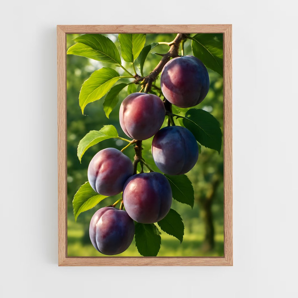 ap-plum-4 cadre Bois clair