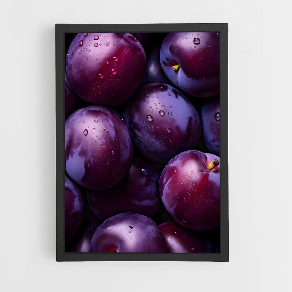ap-plum-5 cadre Noir