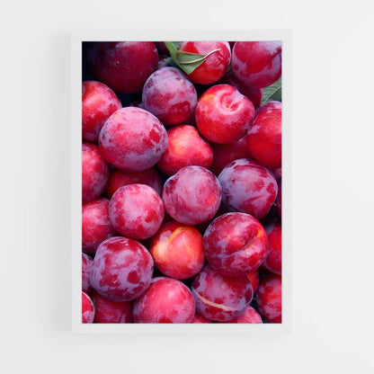 ap-plum-8 cadre Blanc