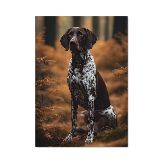 Poster Complice des Bois