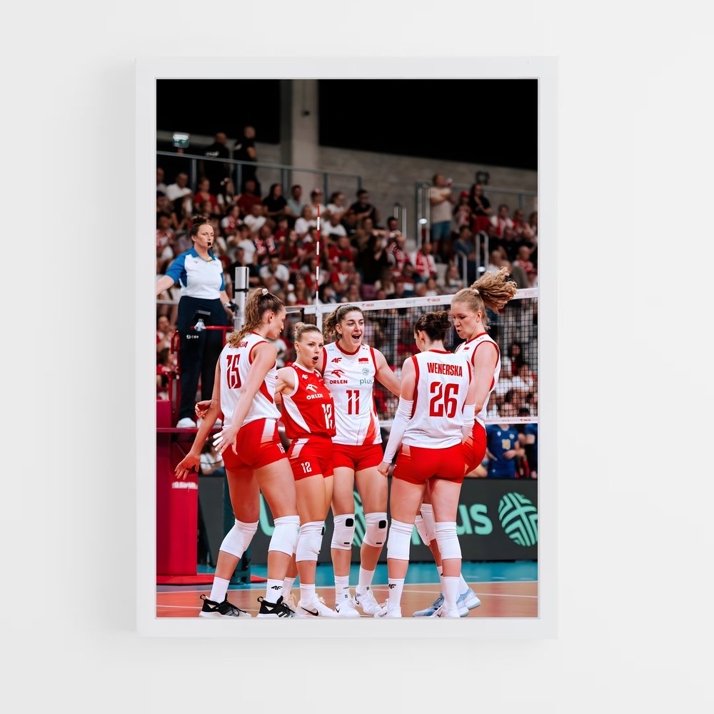 ap-poland national volleyball team-3 cadre Blanc
