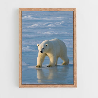 ap-polar bear-4 cadre Bois clair