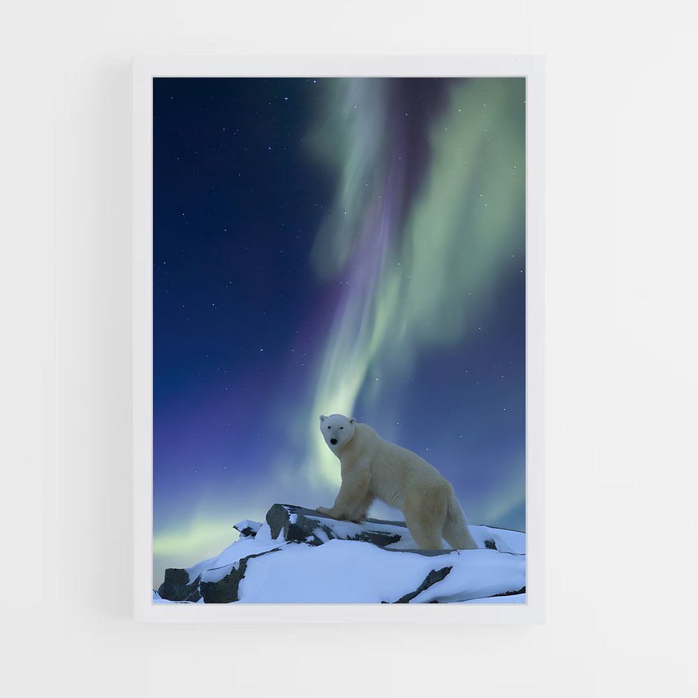 ap-polar bear-8 cadre Blanc