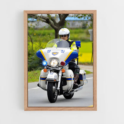 ap-police motorcycle-1 cadre Bois clair