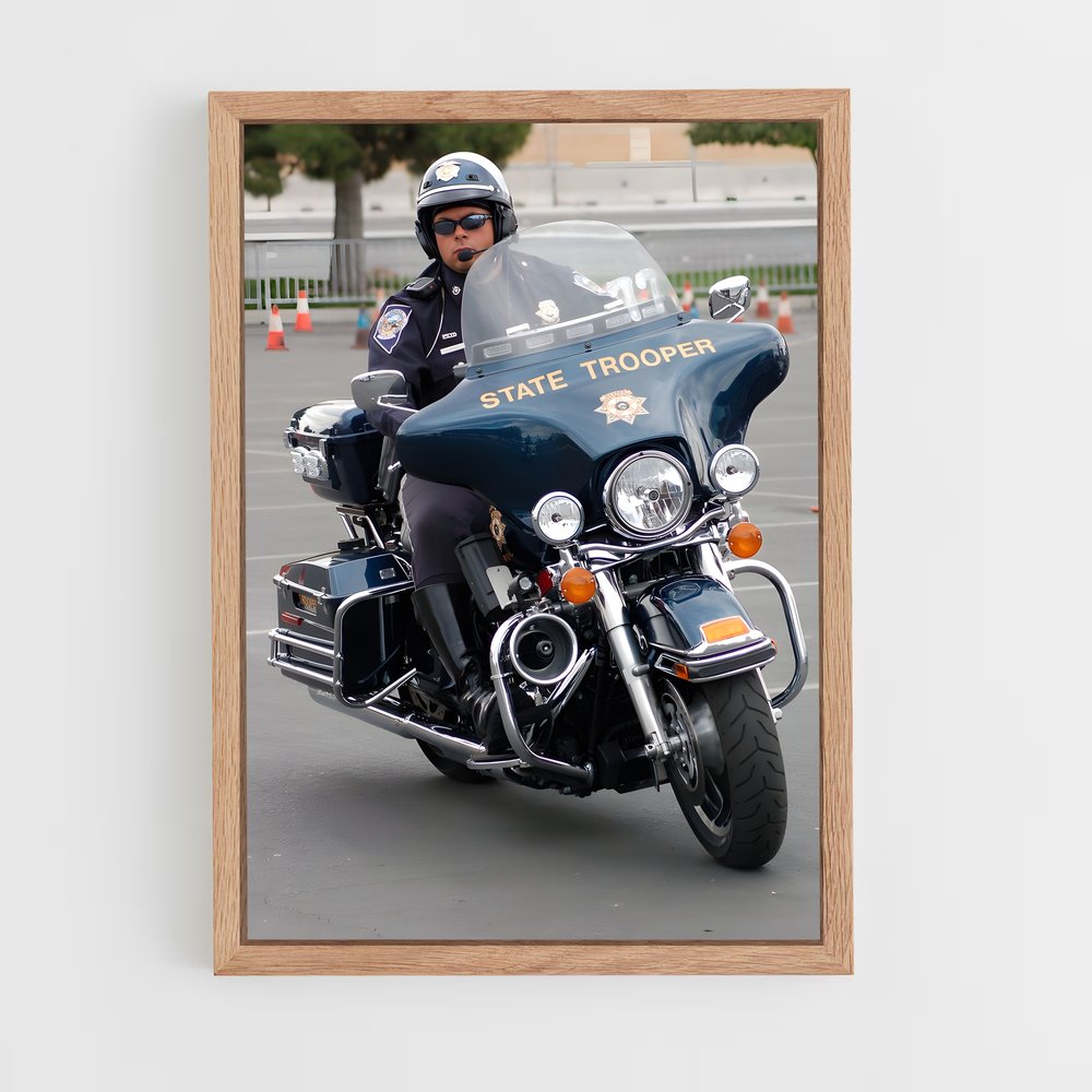 ap-police motorcycle-4 cadre Bois clair