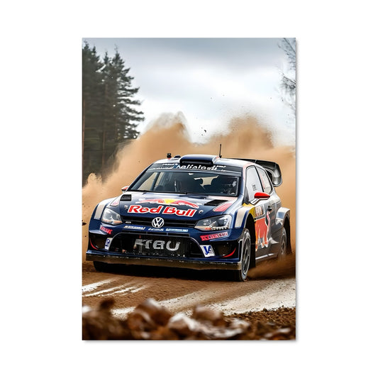Poster Polo wrc 79882