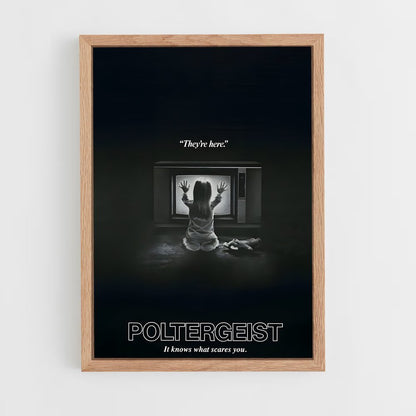 ap-poltergeist-3 cadre Bois clair