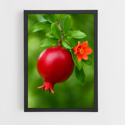 ap-pomegranate-4 cadre Noir