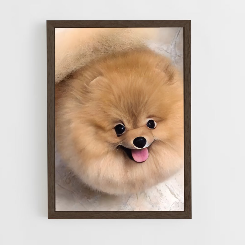 ap-pomeranian-3 cadre Bois foncé