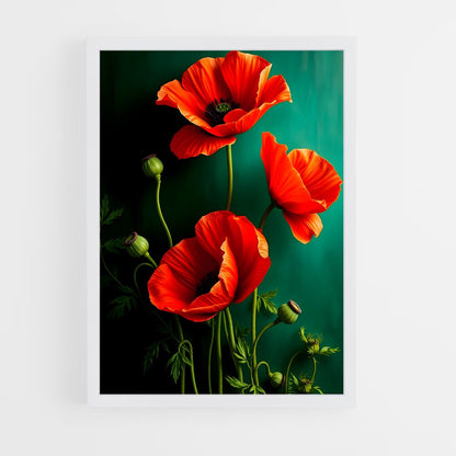 ap-poppy-10 cadre Blanc
