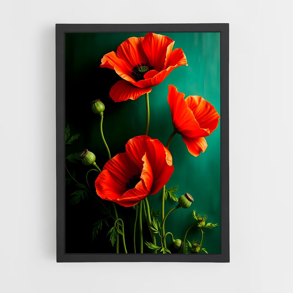 ap-poppy-10 cadre Noir