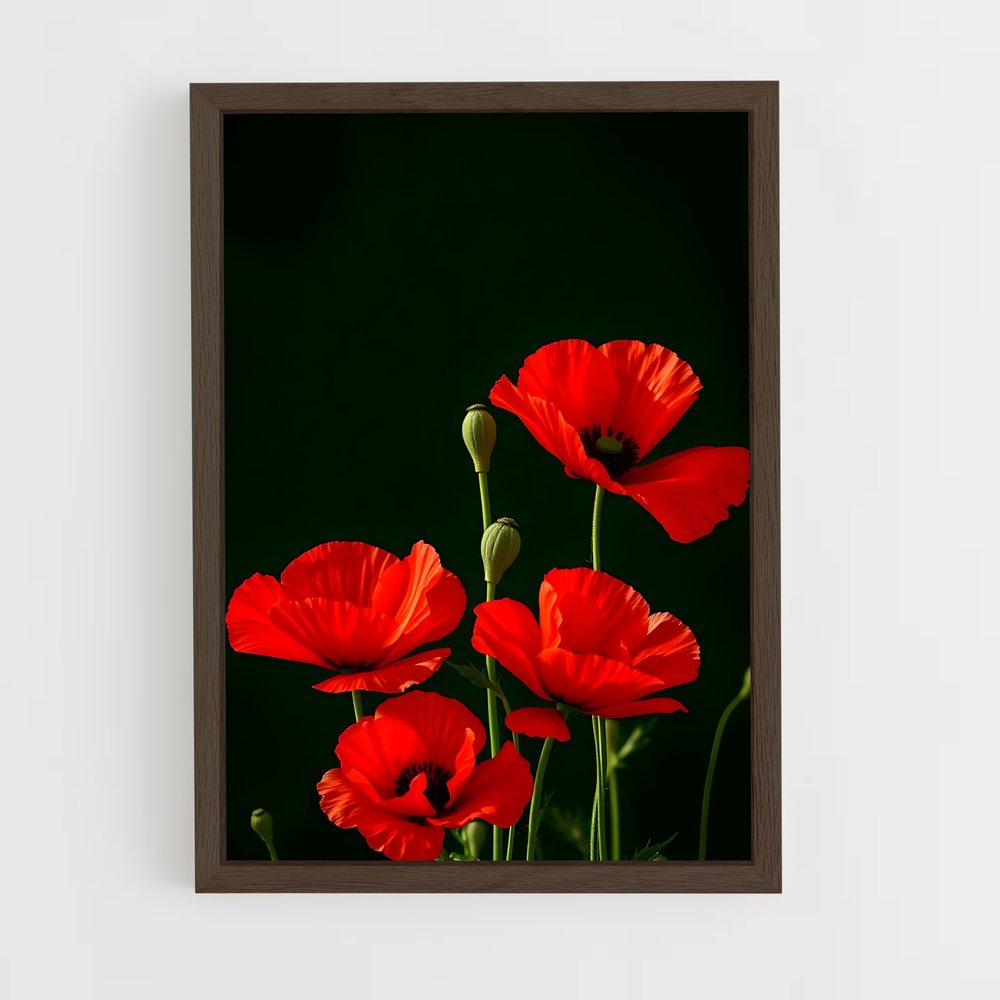 ap-poppy-11 cadre Bois foncé