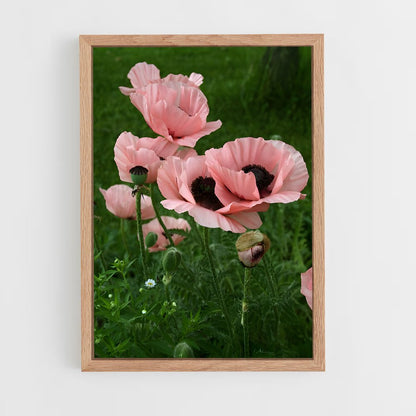ap-poppy-12 cadre Bois clair