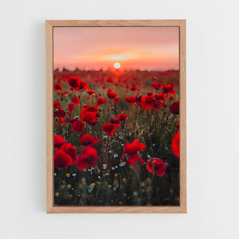 ap-poppy-13 cadre Bois clair