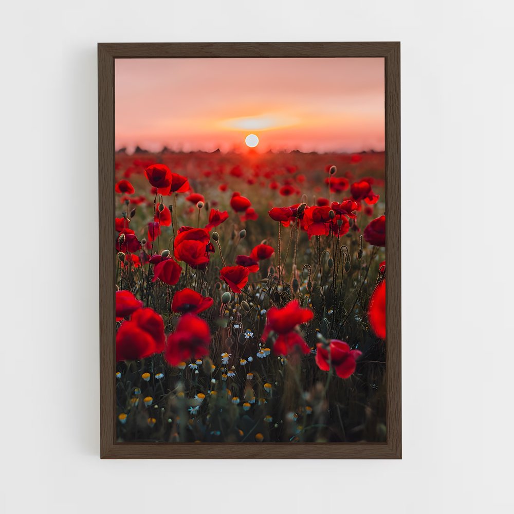 ap-poppy-13 cadre Bois foncé