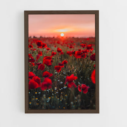 ap-poppy-13 cadre Bois foncé