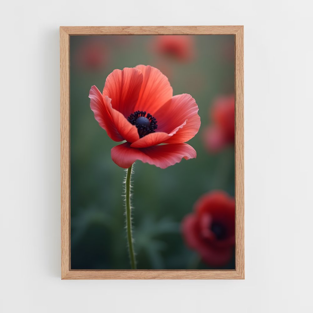 ap-poppy-4 cadre Bois clair