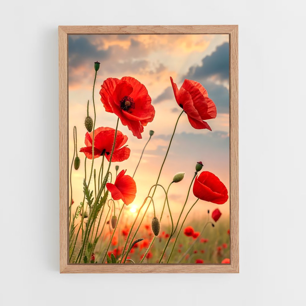ap-poppy-6 cadre Bois clair