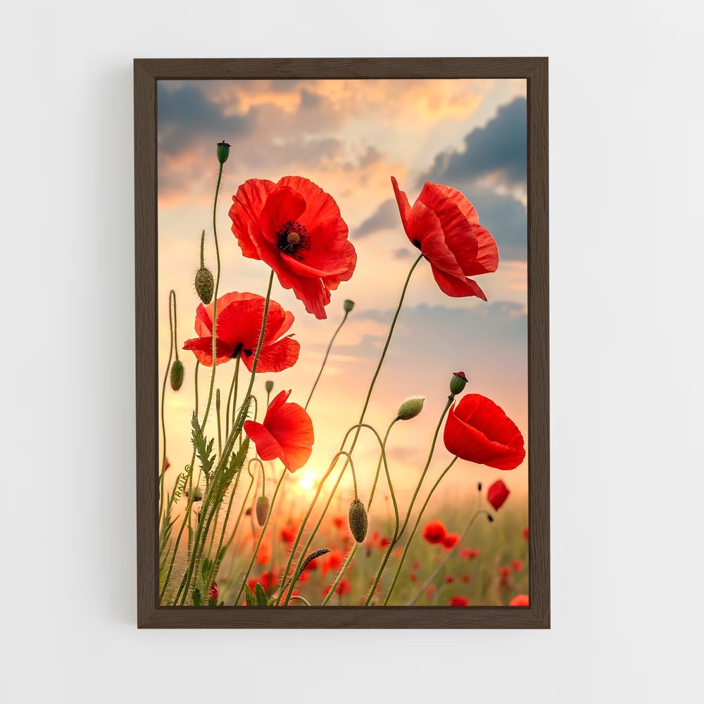 ap-poppy-6 cadre Bois foncé