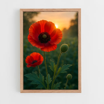 ap-poppy-8 cadre Bois clair