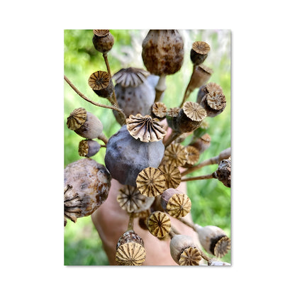 Poster Fleurs de Souvenir