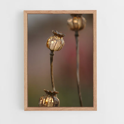 ap-poppy seeds-2 cadre Bois clair