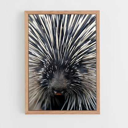 ap-porcupine-1 cadre Bois clair