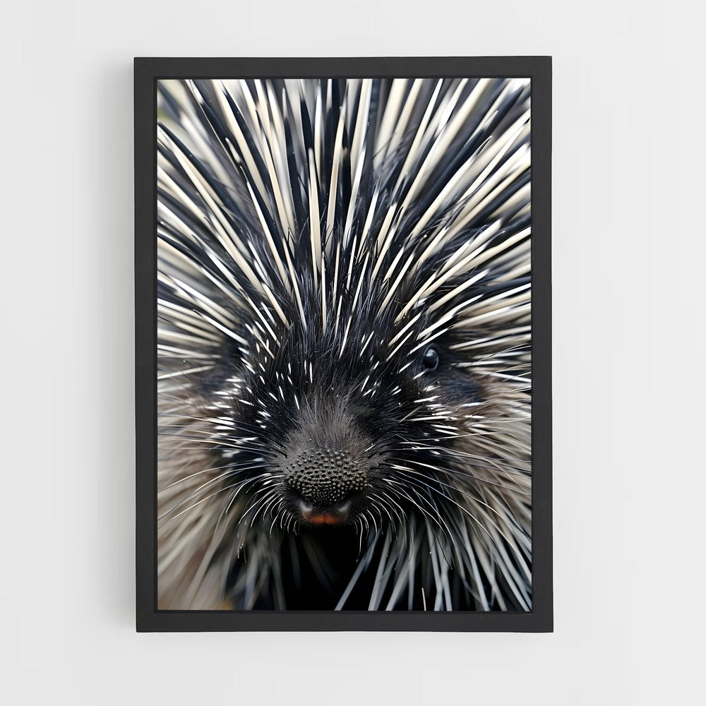 ap-porcupine-1 cadre Noir