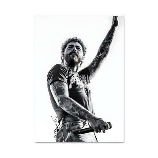 Poster Post malone 54345