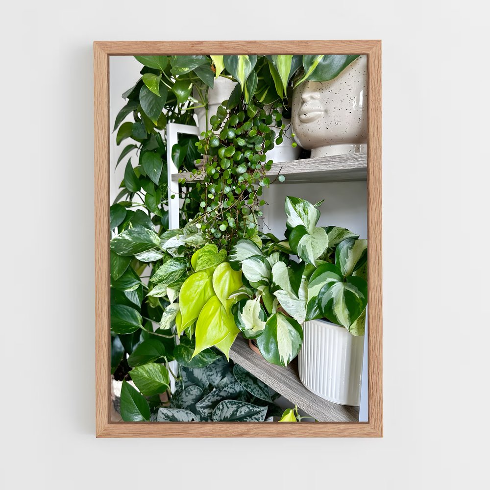 ap-pothos-1 cadre Bois clair