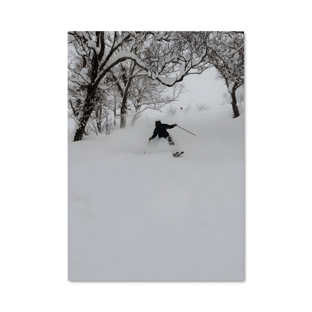 Poster Ski dans les Bois