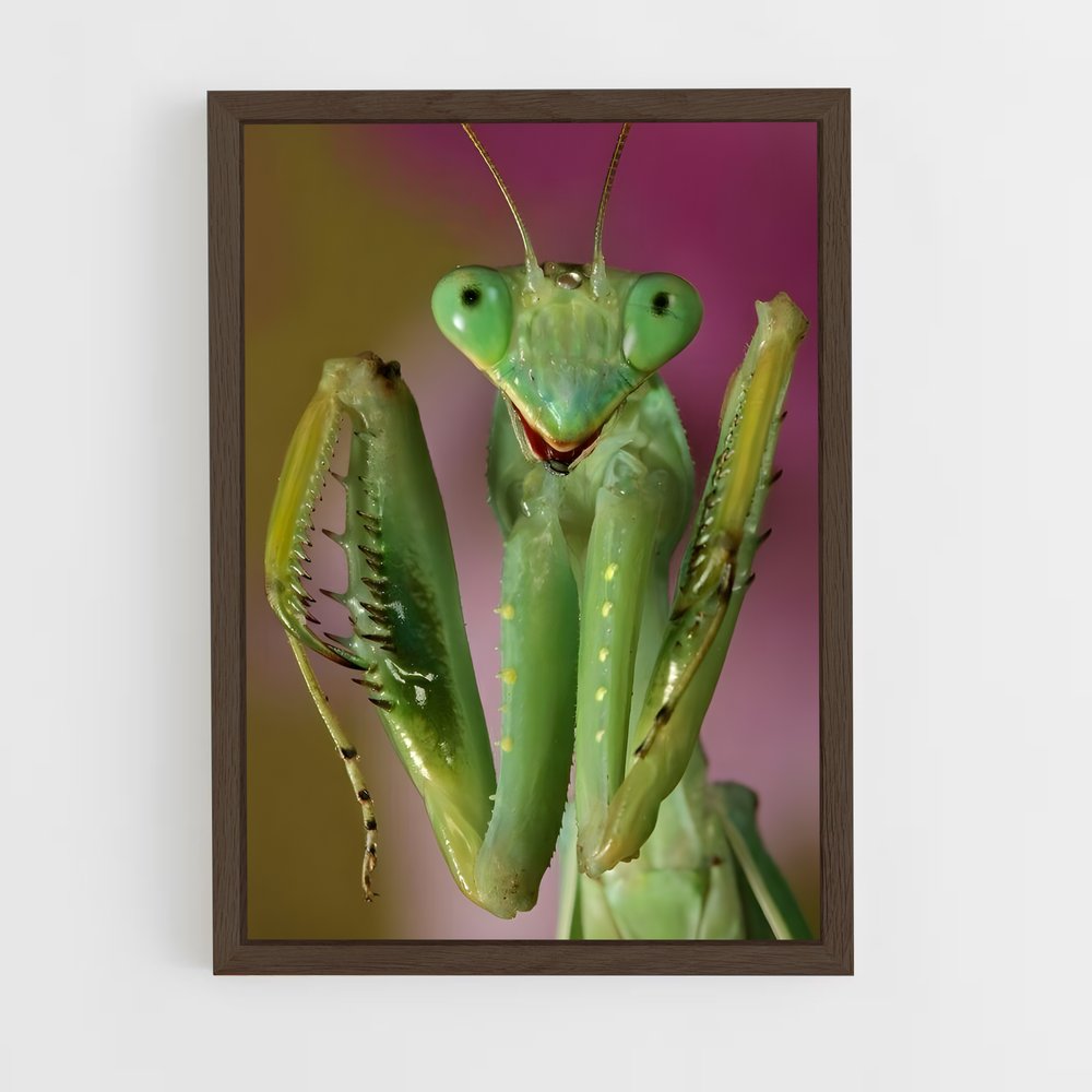 ap-praying mantis-2 cadre Bois foncé
