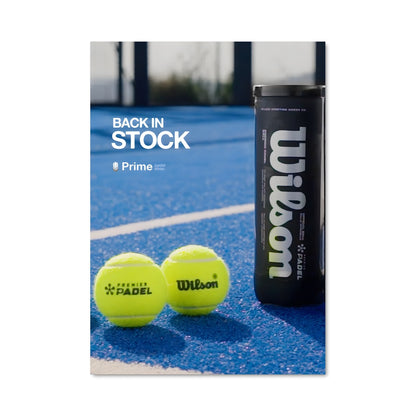 Poster Premier padel 68402