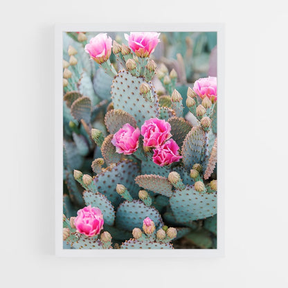 ap-prickly pear-1 cadre Blanc