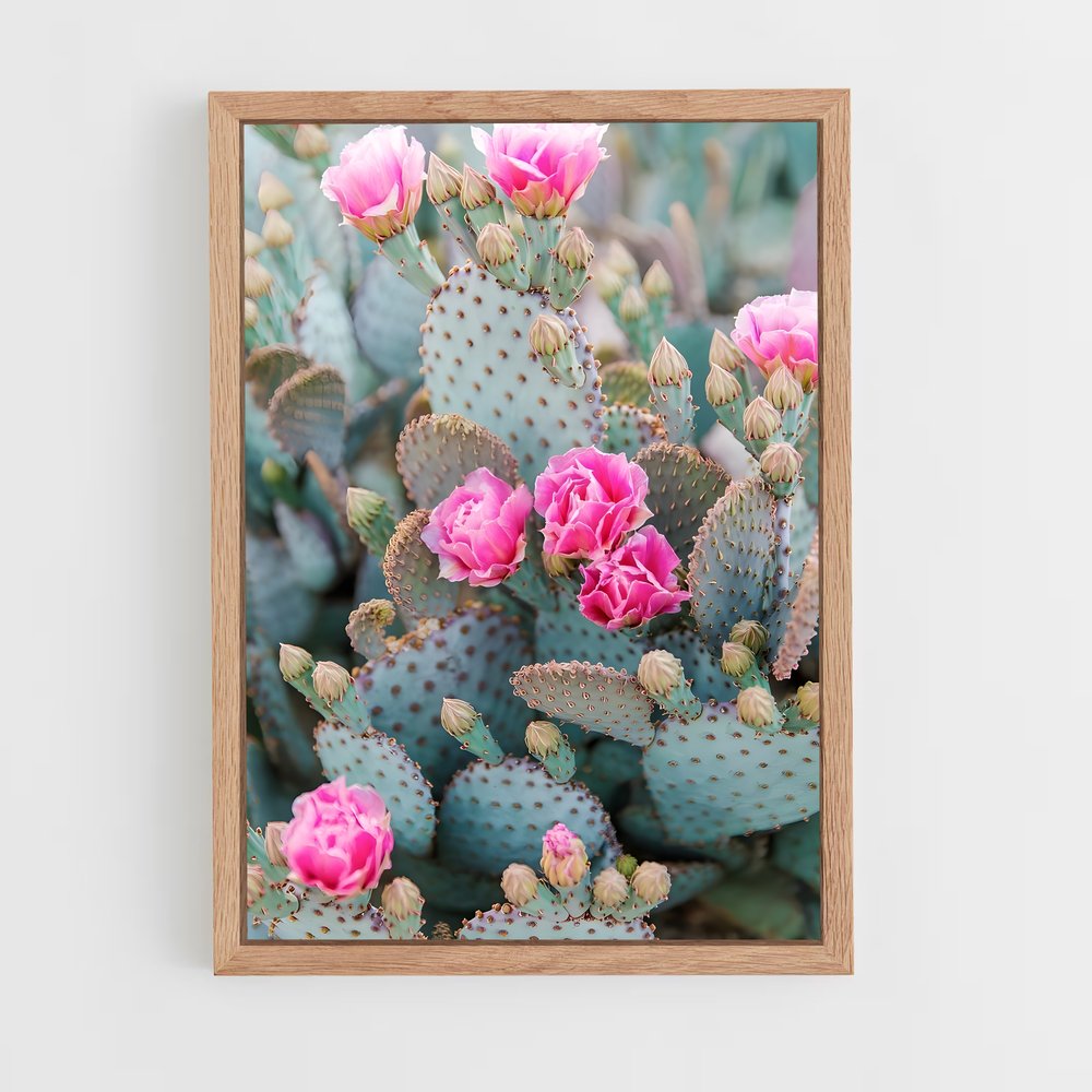 ap-prickly pear-1 cadre Bois clair