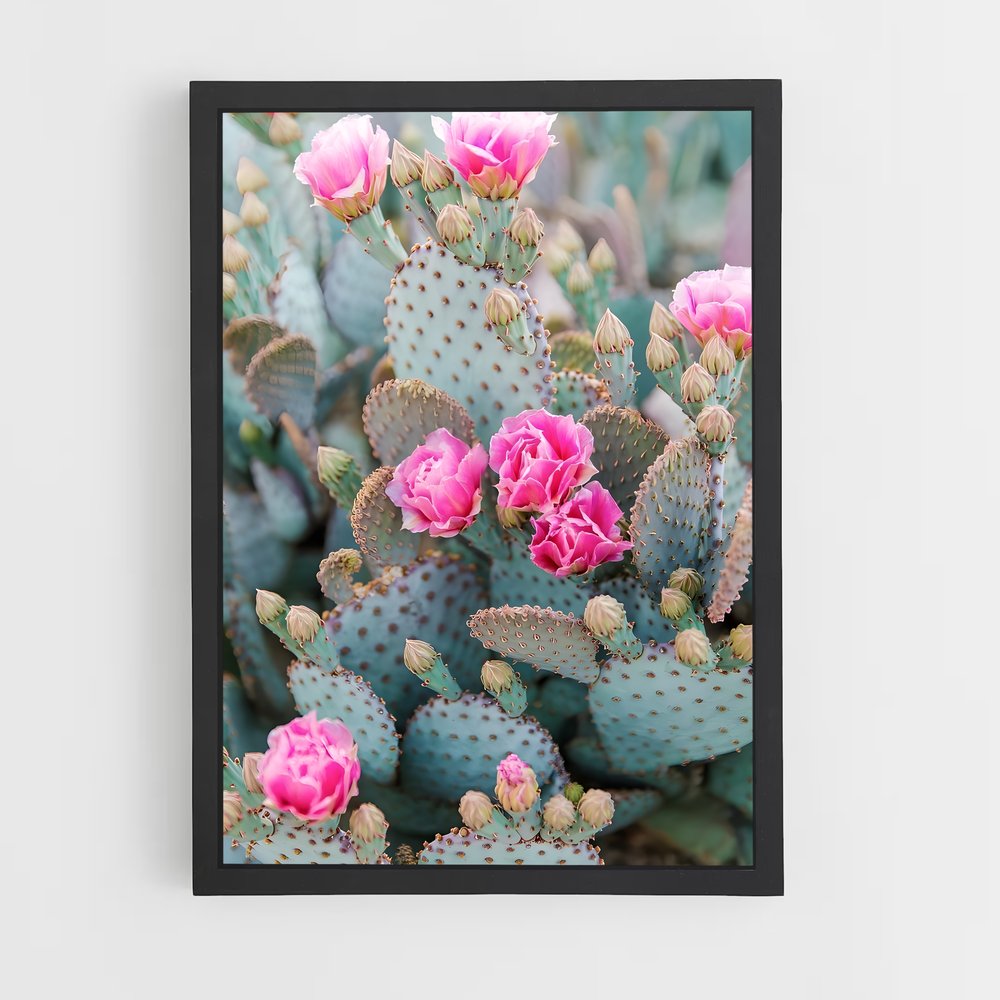 ap-prickly pear-1 cadre Noir
