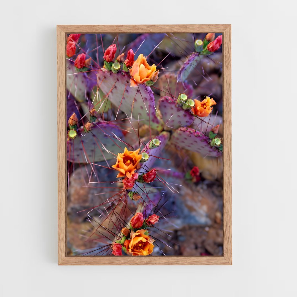 ap-prickly pear-5 cadre Bois clair