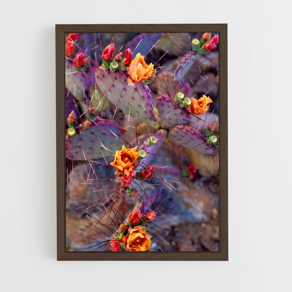 ap-prickly pear-5 cadre Bois foncé