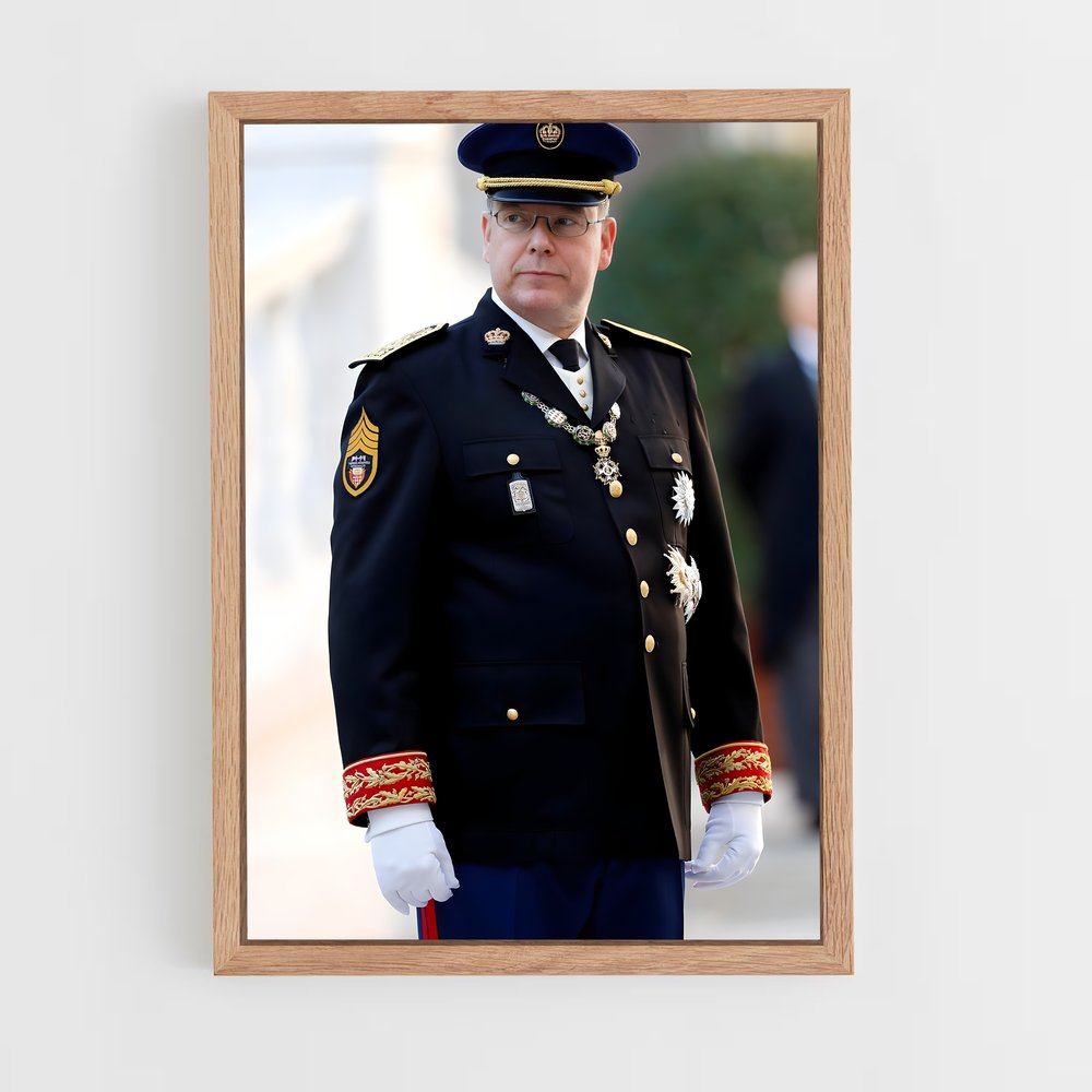ap-prince albert ii-1 cadre Bois clair