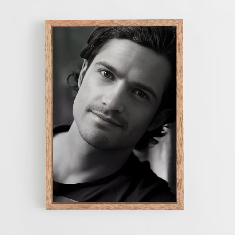 ap-prince carl philip-1 cadre Bois clair