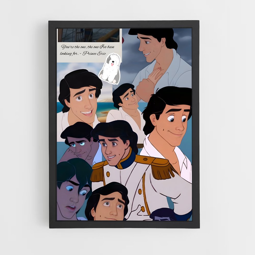ap-prince eric-1 cadre Noir