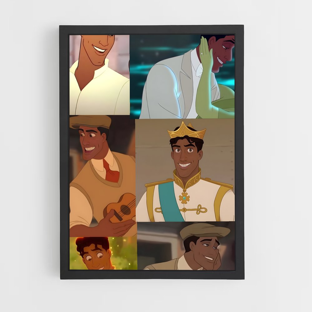 ap-prince naveen-9 cadre Noir
