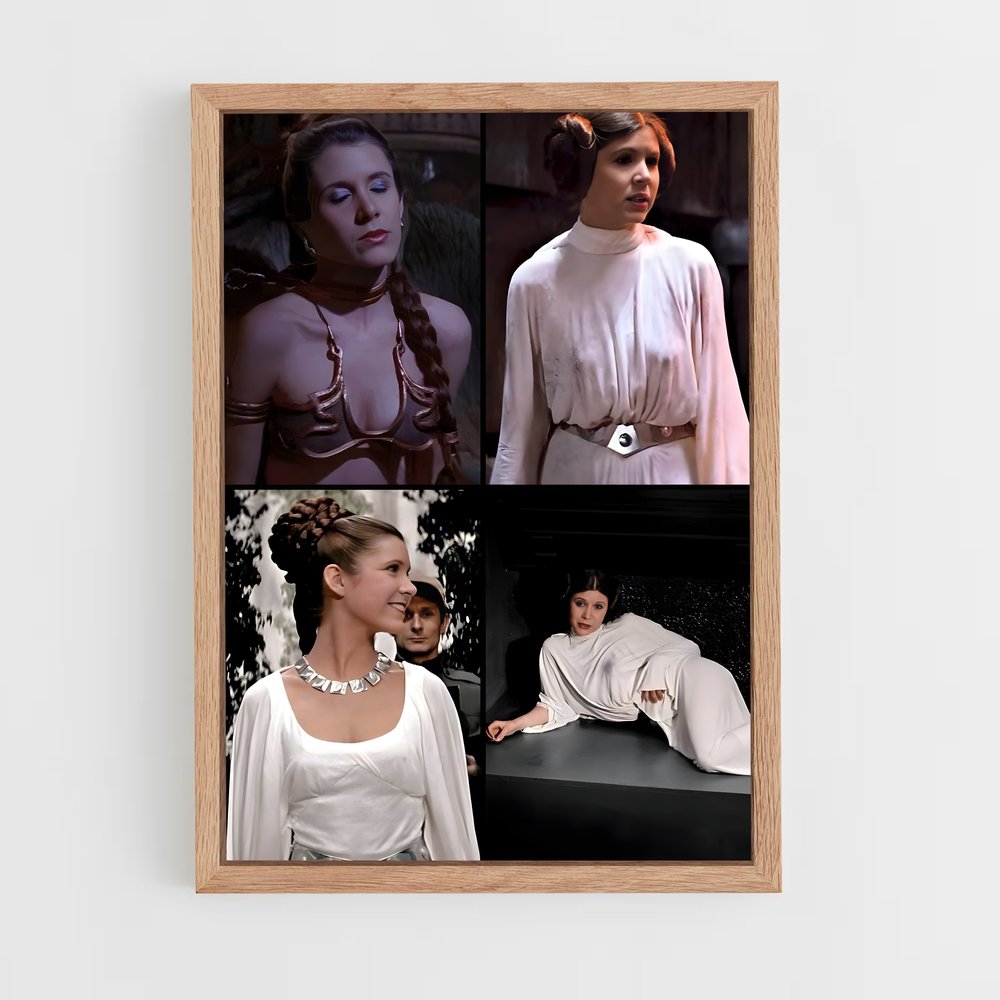 ap-princess leia-2 cadre Bois clair