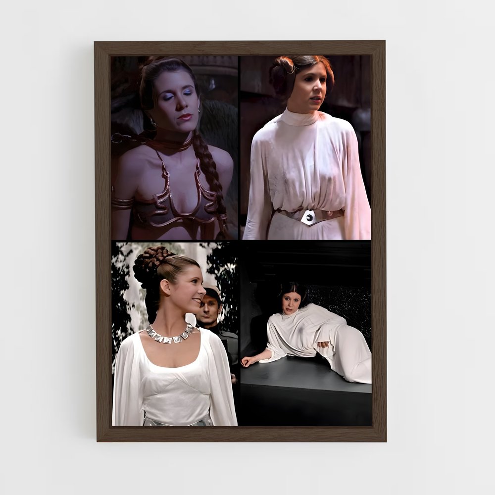 ap-princess leia-2 cadre Bois foncé