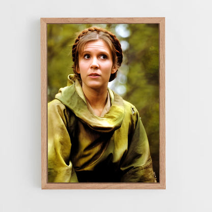 ap-princess leia-3 cadre Bois clair